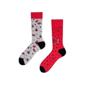 Ladybug, Todo Socks, Biedronka, Kolorowe Skarpetki