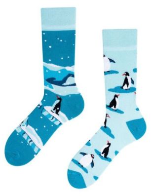 The Penguins, Todo Socks, Pingwiny z Madagaskaru, Kolorowe Skarpetki