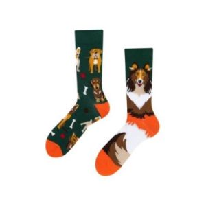 Dogs, Todo Socks, Pieski, Kości, Kolorowe Skarpetki