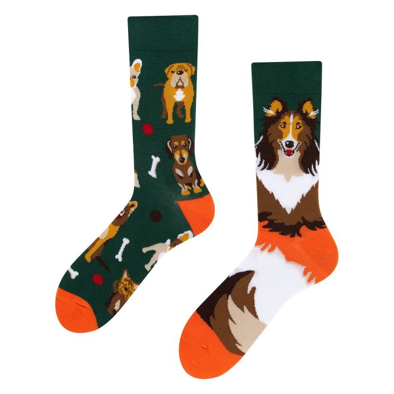 Dogs, Todo Socks, Pieski, Kości, Kolorowe Skarpetki