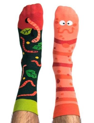 Skarpety kolorowe z serii Happy Friends Socks robak Willy Wormka