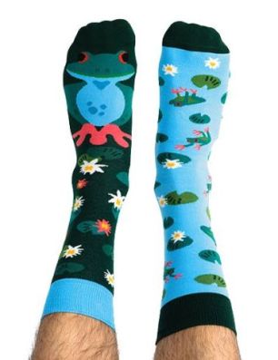 Skarpety kolorowe z serii Happy Friends Socks żaba Frogilla