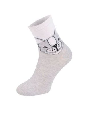 Kolorowe skarpetki CHILI Cotton Socks 748, wesołe motywy- Buldog, Pies